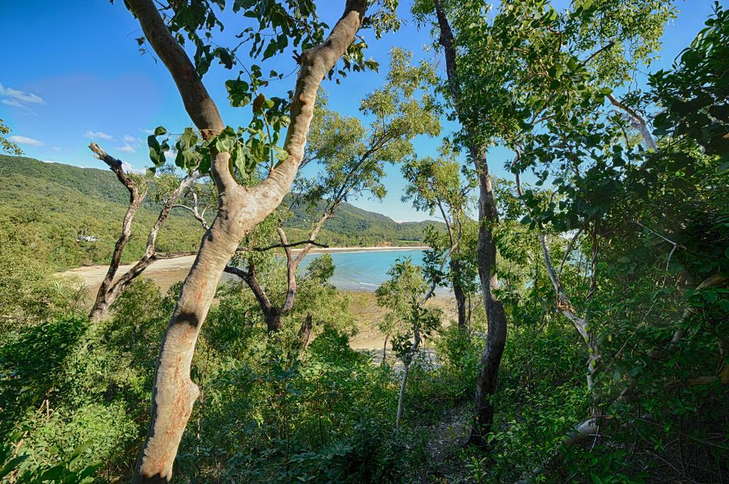 Thala Beach Nature Reserve Port Douglas Zewnętrze zdjęcie