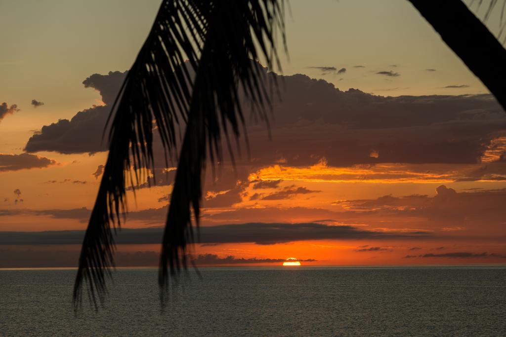 Thala Beach Nature Reserve Port Douglas Zewnętrze zdjęcie