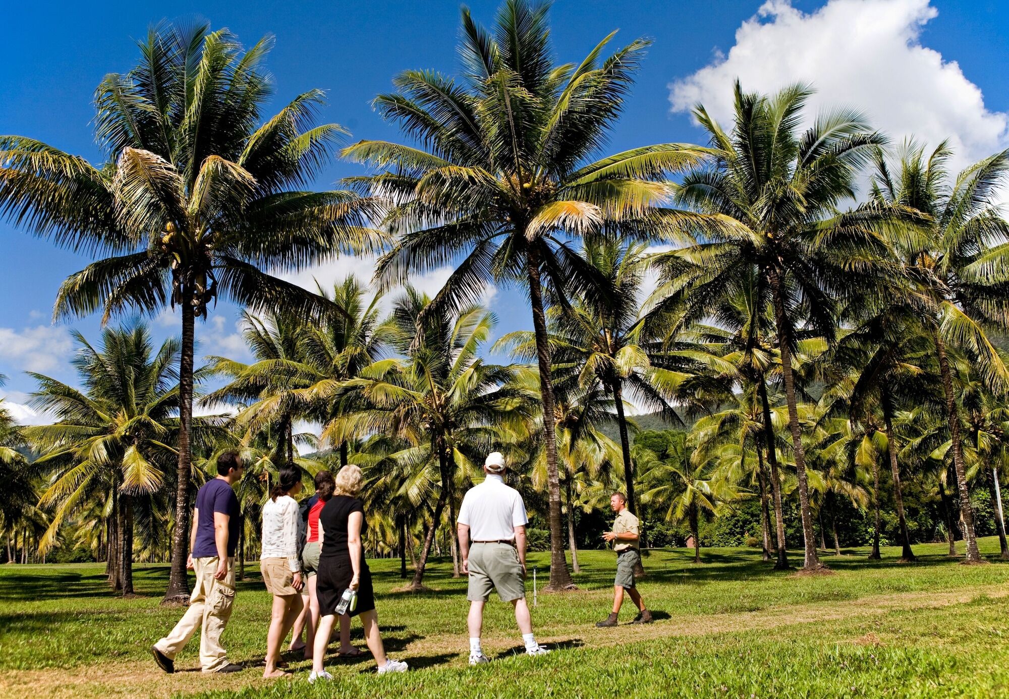 Thala Beach Nature Reserve Port Douglas Zewnętrze zdjęcie
