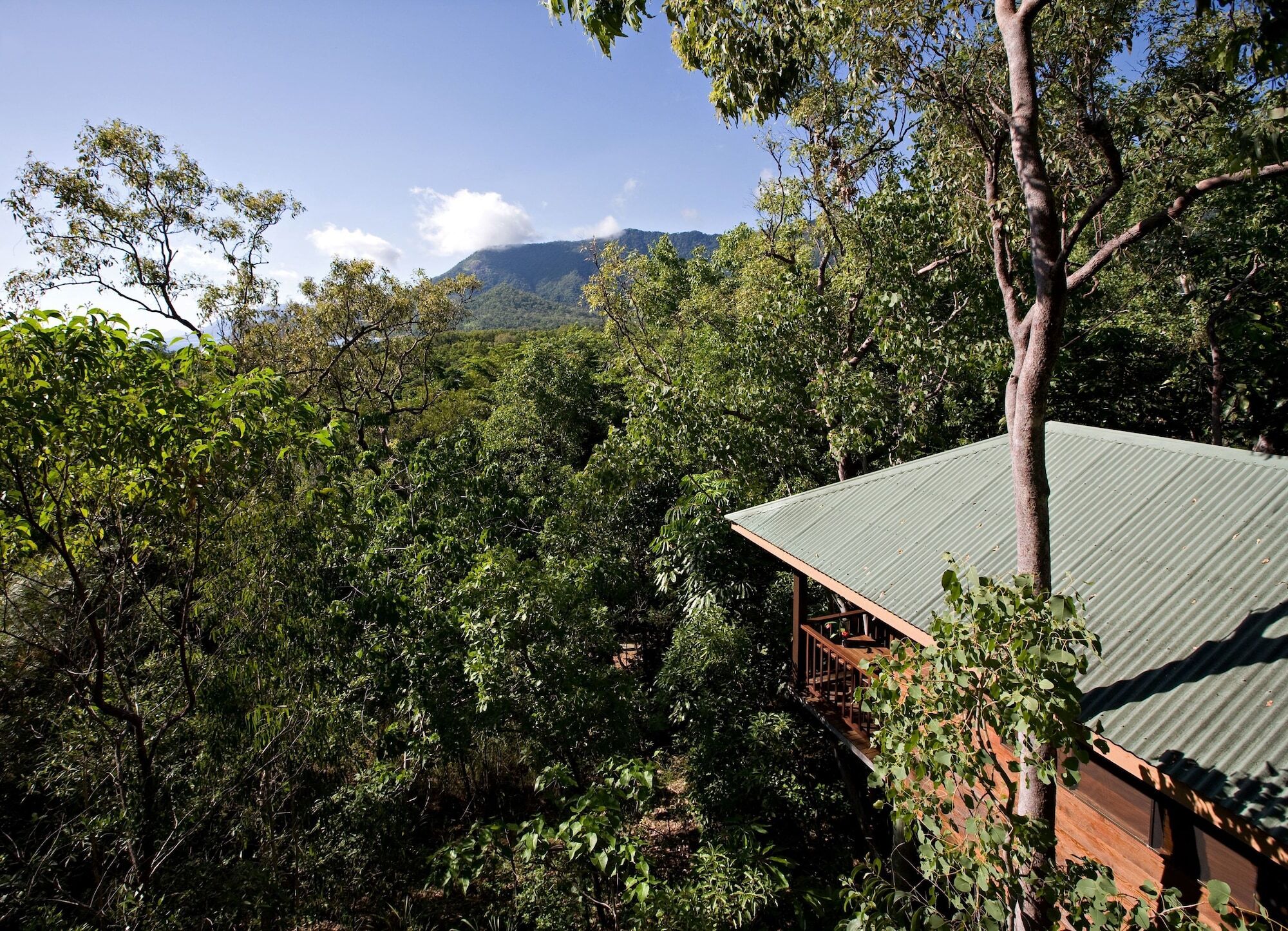 Thala Beach Nature Reserve Port Douglas Zewnętrze zdjęcie